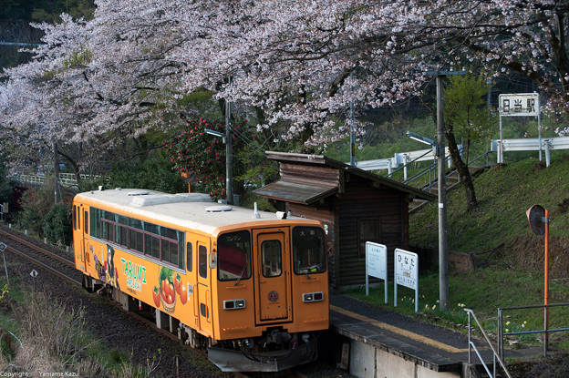 樽見線の日当駅