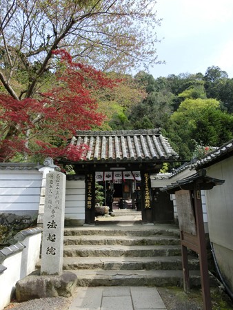 CIMG3963