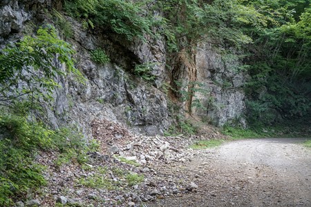 DSC02833