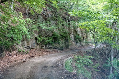 DSC02836
