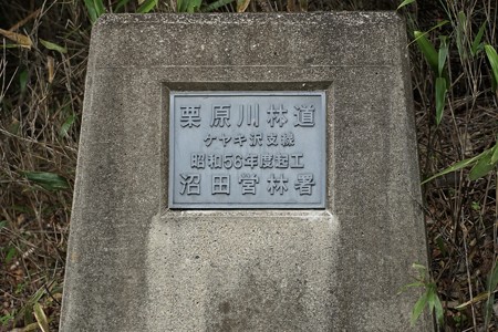 DSC02858