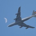 moon flight