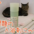 160425-【猫写真】パパちゃん、やっちゃったにゃ～！