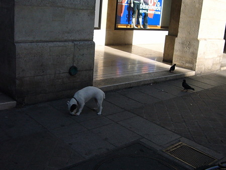 P1630065