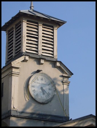 P1730394