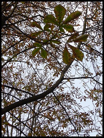 P1780374