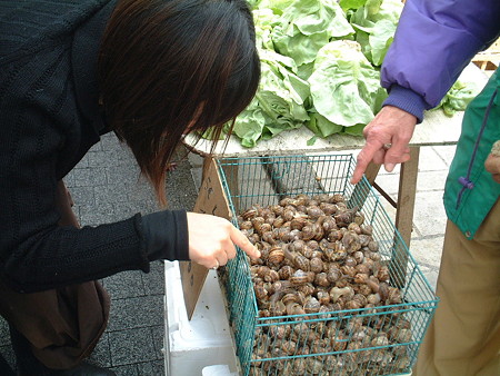 DSCF0673