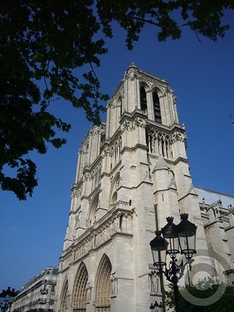 P1550913