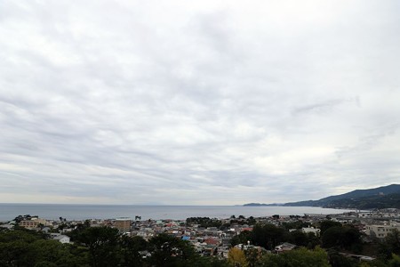28IMG_1849