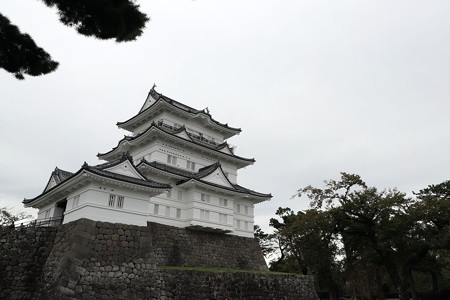 26IMG_1826