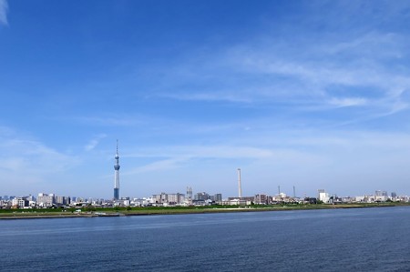 IMG_4239