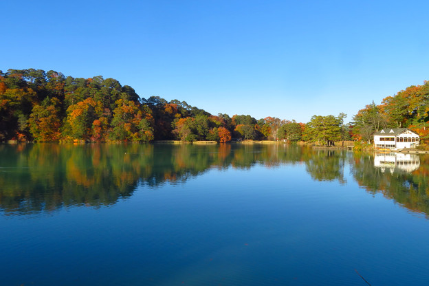 秋のブルー、松原湖。