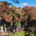 Photos: 白糸の滝、秋深まる。