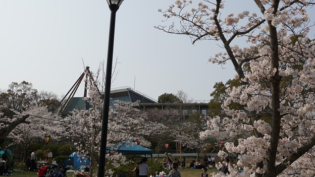 DSC05933