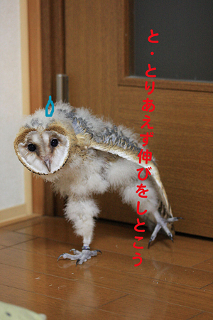 mame H21.1.13 冒険3