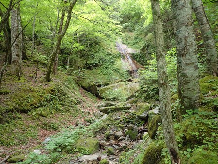 左から枝沢 奥にスラブ滝（15m滝で引き返してこの枝沢へ