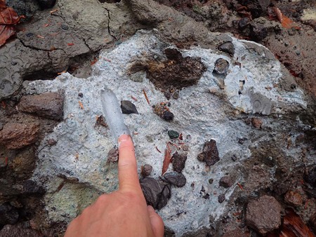 青白っぽい粘土質の層に覆われた岩