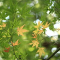Photos: 7F1A2948