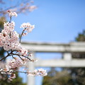 Photos: 7F1A2555a