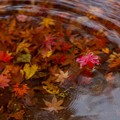 Photos: IMG_4061