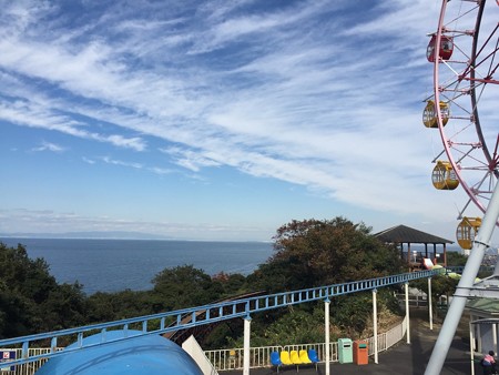 20151109みさき公園(1)