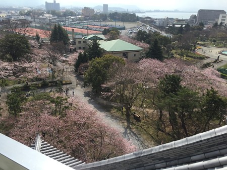 20160411長浜城?