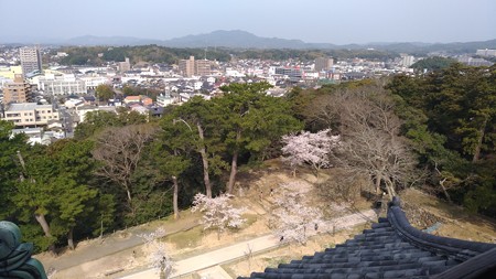 20180408松江城?