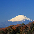 Photos: 富士山