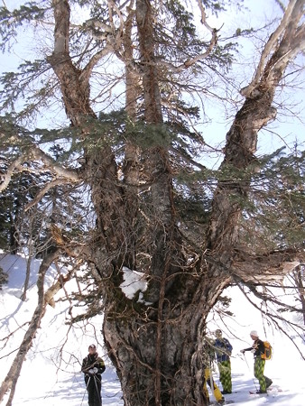 SANY0151