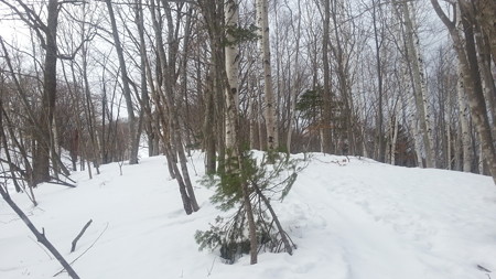 20180310_073521