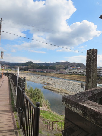 修善寺 狩野川と桜並木