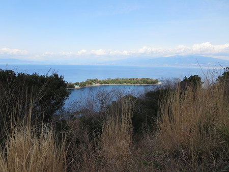 大瀬崎
