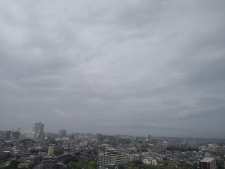 急速に回復中