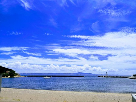 鴨居の海岸と泳ぐ犬。