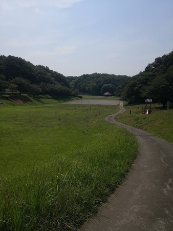 小山田緑地 小山田の牧