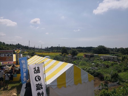 ひまわり祭り会場