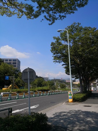 尾根幹 堀之内地区