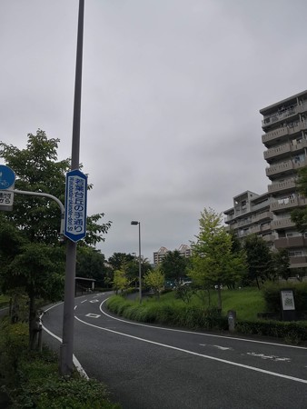 若葉台の丘の手通り