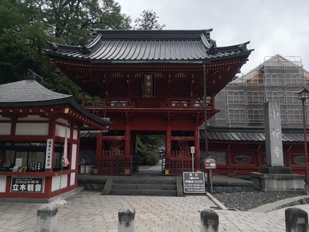 中禅寺湖を望む