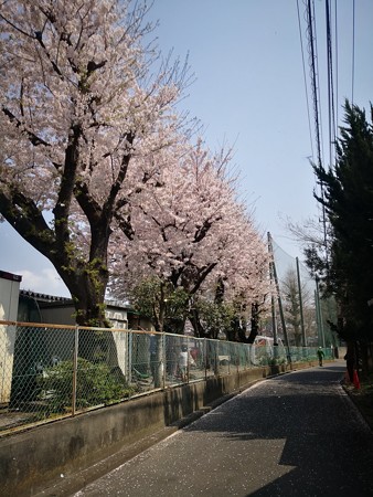 ある学校