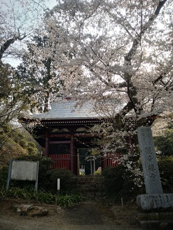 観音禅寺@津久井湖
