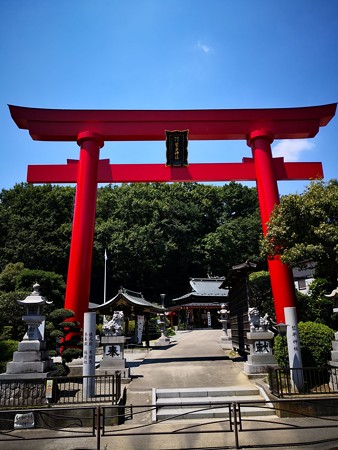 琴平神社鳥居