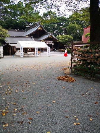 神社に巫女