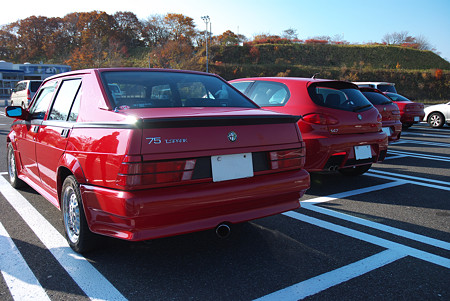 SEXY Alfa