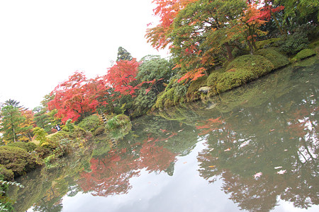 逍遥園(1)