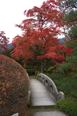 逍遥園(3)