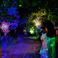 幻想