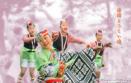 原宿よさこい連_スーパーよさこい2008