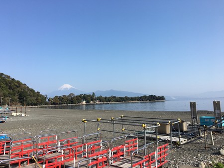 快晴!ダイビング日和だわん!海も穏やかなりよ