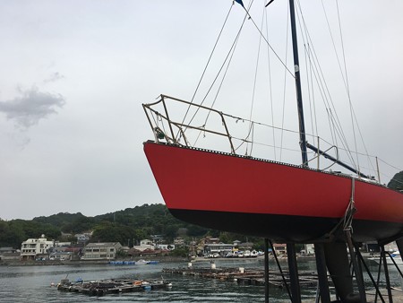 静浦の海